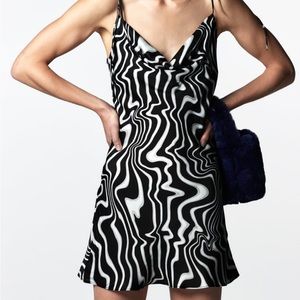Zara Print Dress
